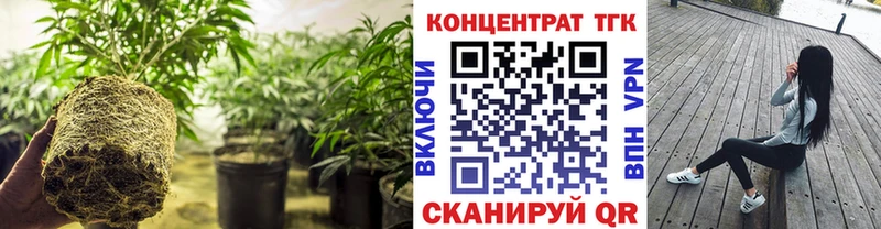 Дистиллят ТГК гашишное масло  Купить закладки  Воркута 