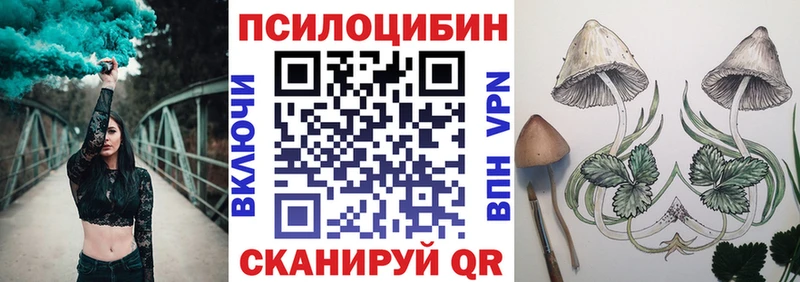 Псилоцибиновые грибы Psilocybine cubensis  Купить  Воркута 